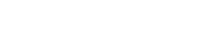 footer logo main